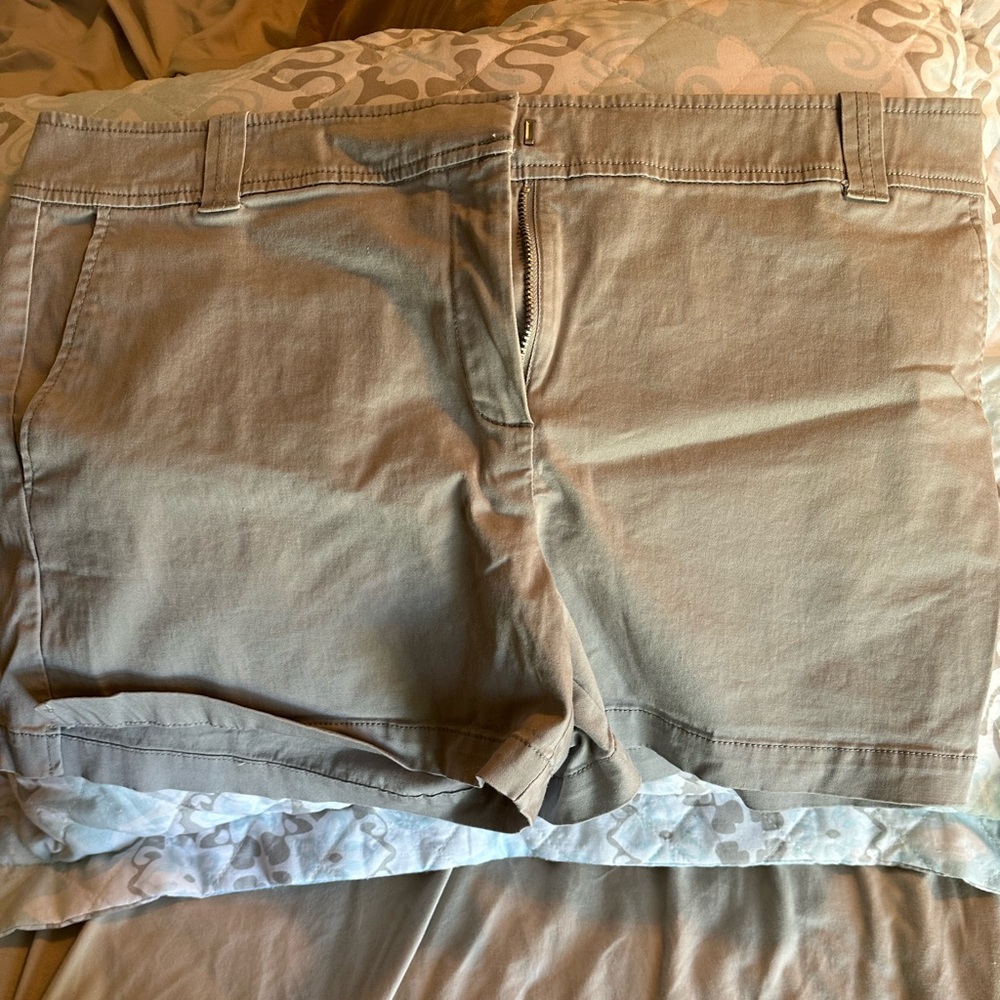 Taupe Shorts, size 14